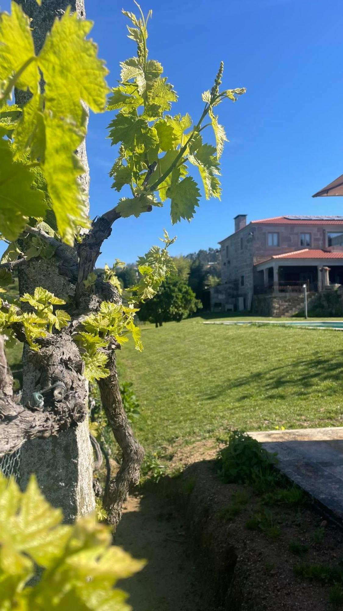 Alpendurada Quinta De Villasete מראה חיצוני תמונה