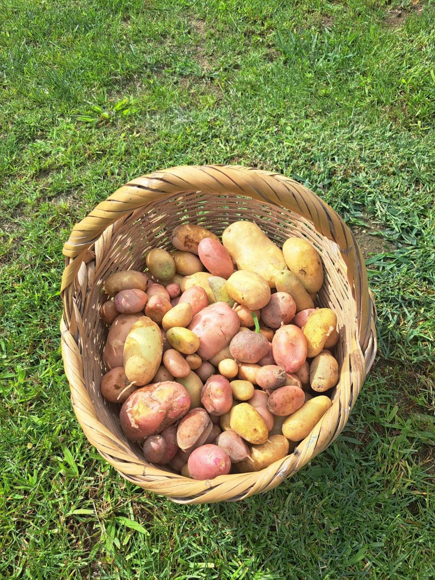 Alpendurada Quinta De Villasete מראה חיצוני תמונה
