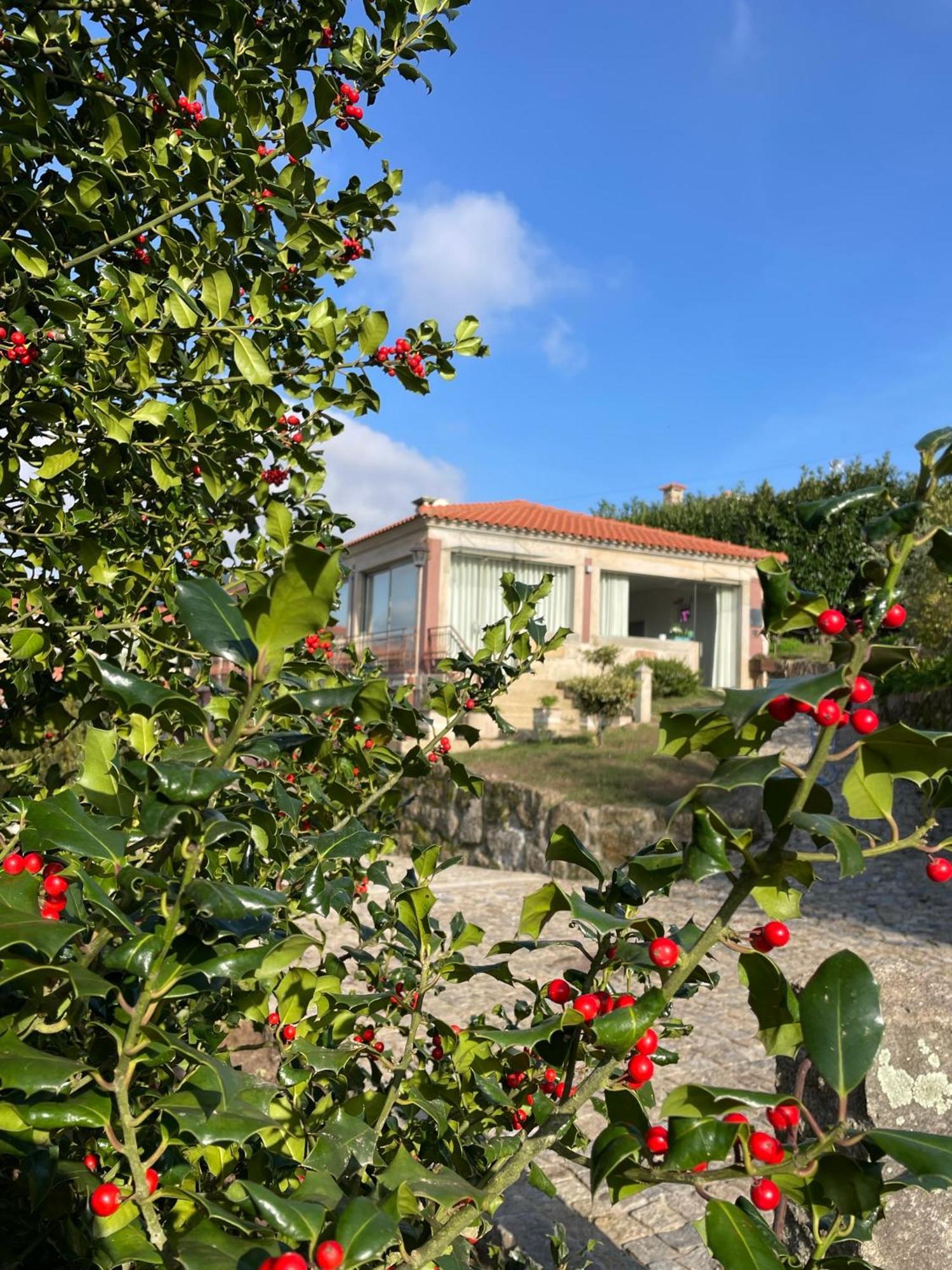 Alpendurada Quinta De Villasete מראה חיצוני תמונה